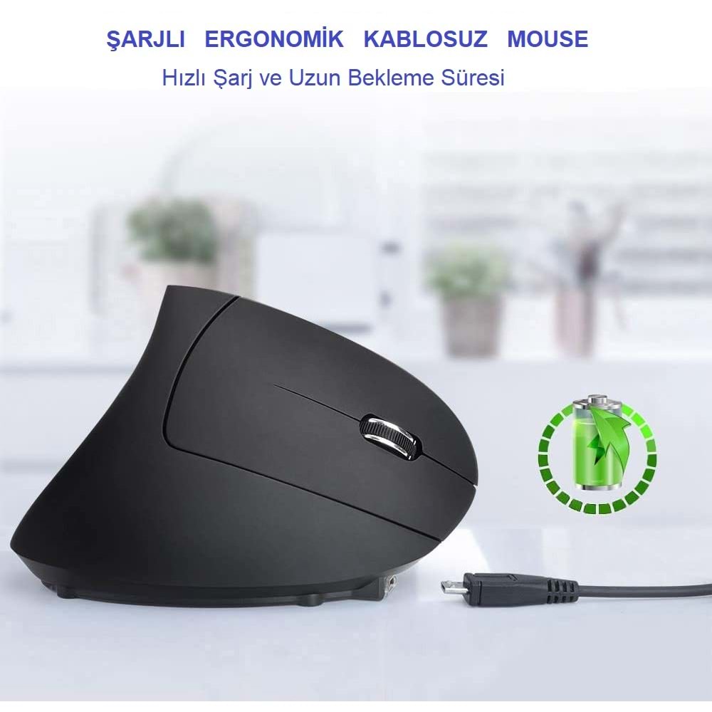 TriLine Şarjlı Kablosuz Ergonomik Dikey Mouse 1600 DPI