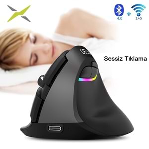 Delux M618 Mini Bluetooth 4.0+ 2.4G Ergonomik Şarjlı Sessiz RGB Mouse