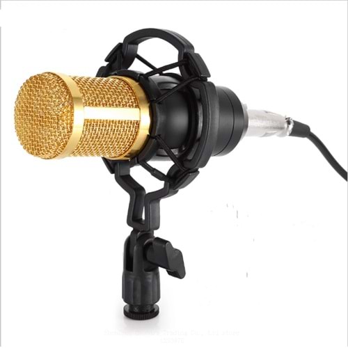 TriLine Profesyonel Youtuber BM800 Stüdyo Kayıt Mikrofonu