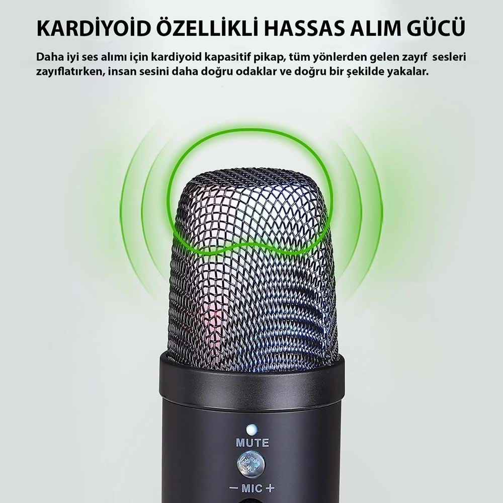 TriLine Profesyonel Kardioid RGB Oyuncu Stüdyo Kayıt Kablolu Podcast Mikrofonu