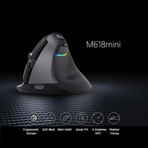 Delux M618 Mini Bluetooth 4.0+ 2.4G Ergonomik Şarjlı Sessiz RGB Mouse